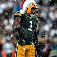 nflgreenbay1