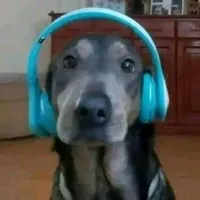 original sound - willkruger97