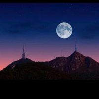 ricardonogaroli02