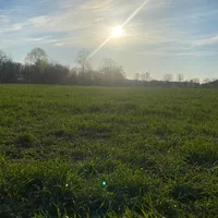 original sound - maco2113