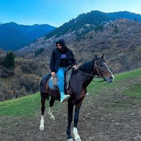 оригинальный звук