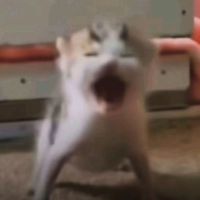 glitterpinkapplejuice