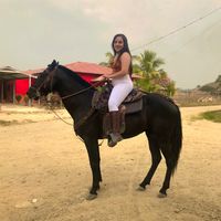 gisse_puerto0