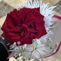 original sound - hadidja_magomedova