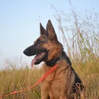 SO MANY PEOPLE ARE USING THIS