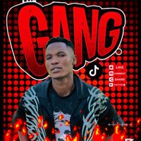 mtu_gang