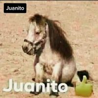 hajdbskdbksb
