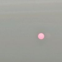 forevergoneforevergone