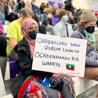 original sound - darbikabood