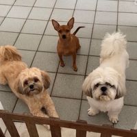 zuk.kyra.zara