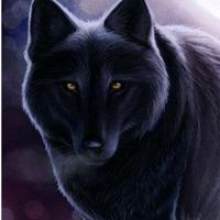 loba6snaipe23oficial4
