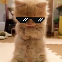 blinkxsie0