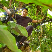 franky_951