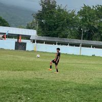 _alexander2002ardon
