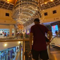 alexxhub1