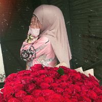 dinadeh19