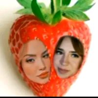 dome_kim024