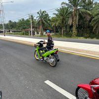 kobat_2542