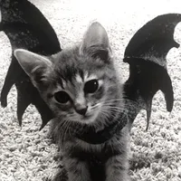 original sound - lyrivq