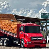 truck_cargueiros