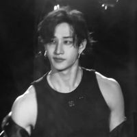 bts_straykids_fan87