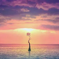 original sound - zyb231024