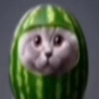 watermelonkitty0