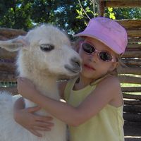 aguspiaggio
