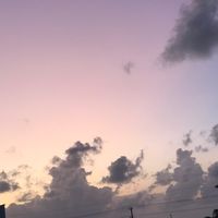 .bree4624