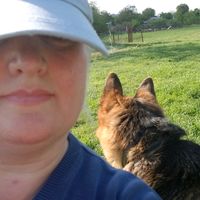 arsi.german.shepherd