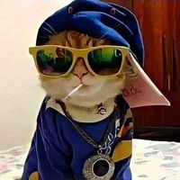 rolas_713
