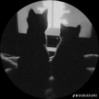 original sound - ★彡[ɭaɳdścaᴘeś]彡★