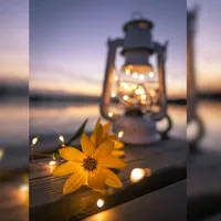 original sound - _rolasmundial