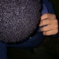 original sound