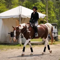 This actually blew up oml