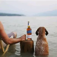 original sound - r4lfi