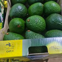 joramavocado