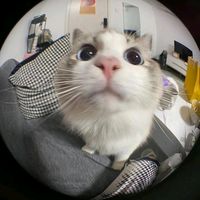 kate_smiley4