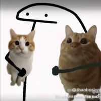 âm thanh gốc - dog🐶 & cat🐱