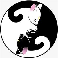 sj_cats