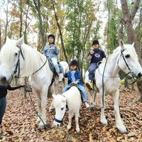 原聲 - Sense_車干