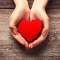 original sound - artists_song