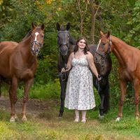 iss_dressage