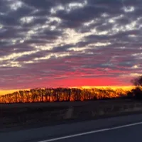 original sound - trendysongz436