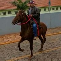 user347792480073tiagovi1