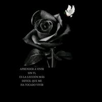 yhobana.35