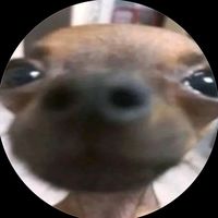 Super bear adventure