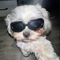 randomcontentwith_roxy