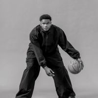 original sound - wasp