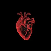 original sound - holy.music7